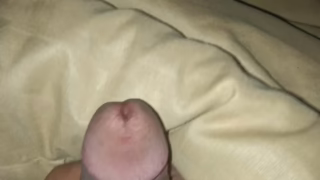 Post by ashish001: groundedgraycatfish