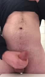 Post by wsfan22: luxuriousannualarabianwildcat